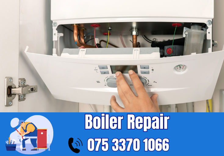 boiler repair Paddock Wood