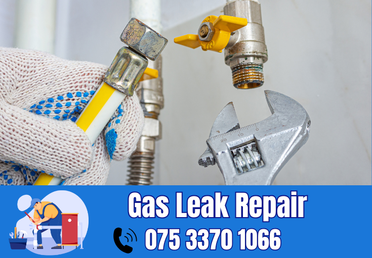 gas leak repair Paddock Wood