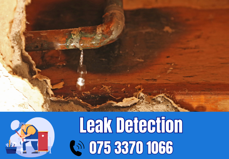 leak detection Paddock Wood