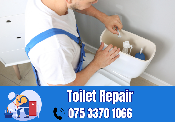 toilet repair Paddock Wood